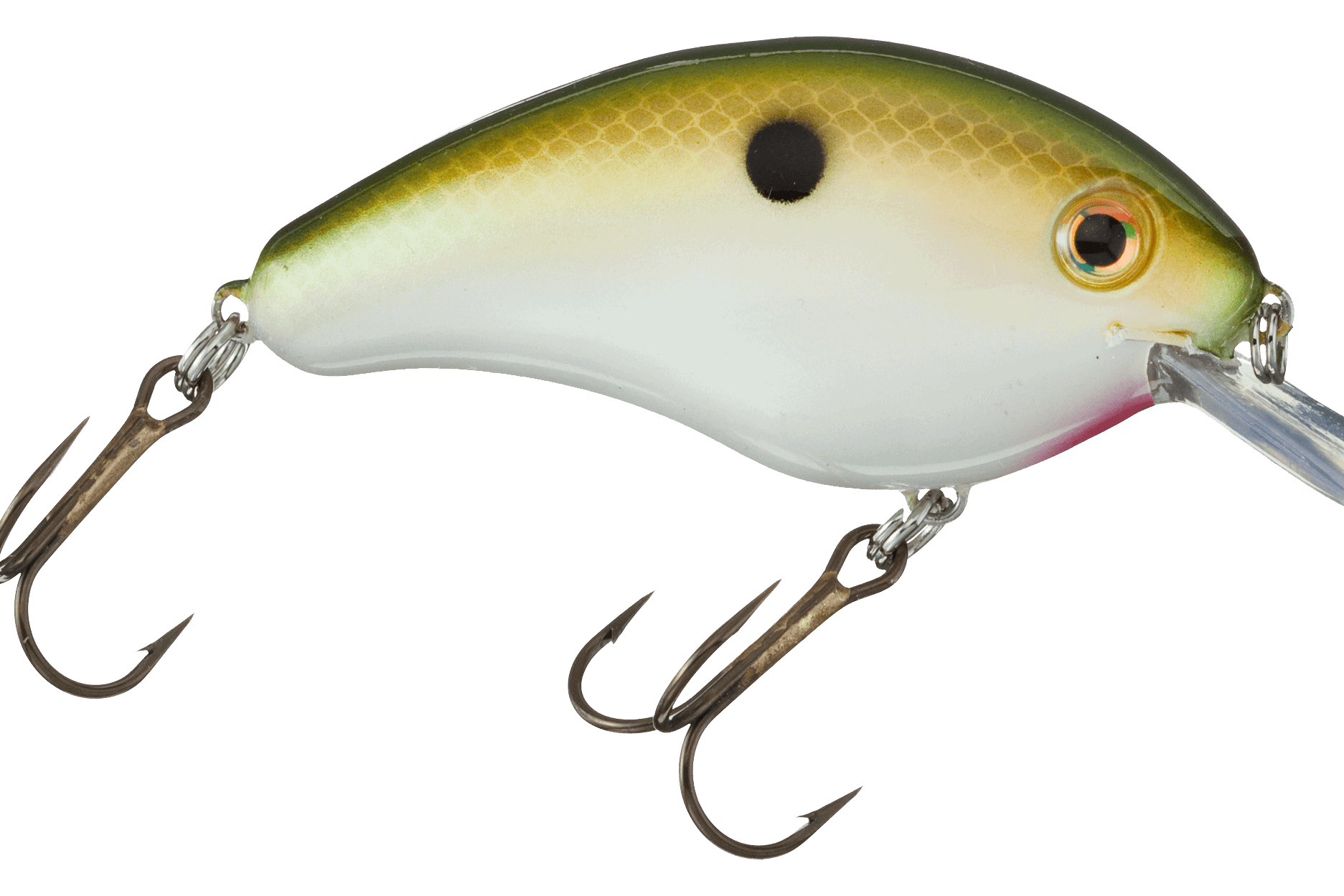 Strike King Pro Model Series 4 Tennesse Shad