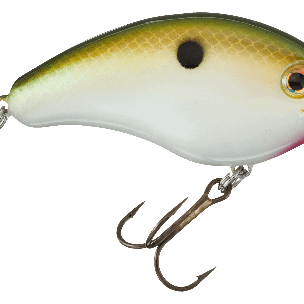 Strike King Pro Model Series 4 Tennesse Shad