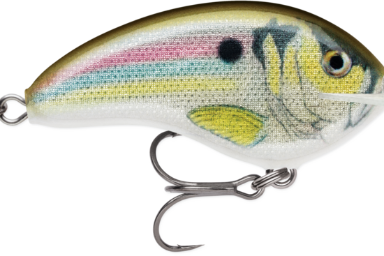 Rapala Ott’s Garage Deep Tiny 07 Crankbait Live River Shad (D)