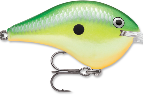 Rapala DT-6 Rasta