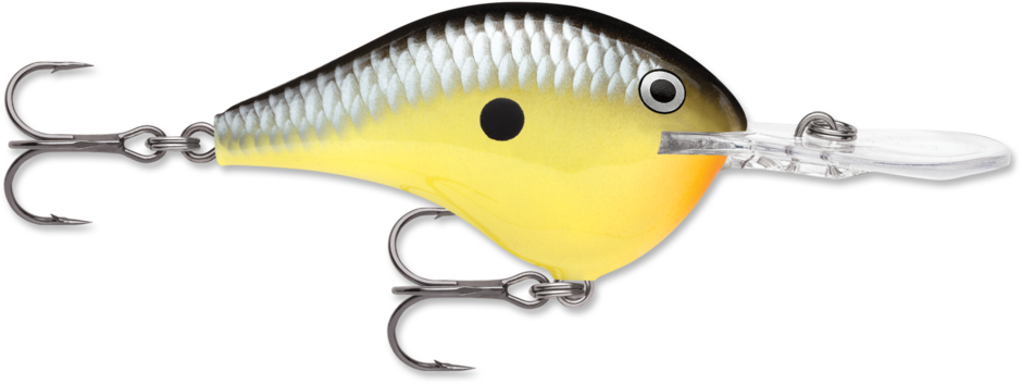 Rapala DT-14 Old School (D)