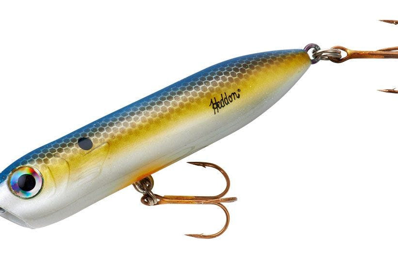 Heddon Chug'n Spook Jr. Foxy Shad