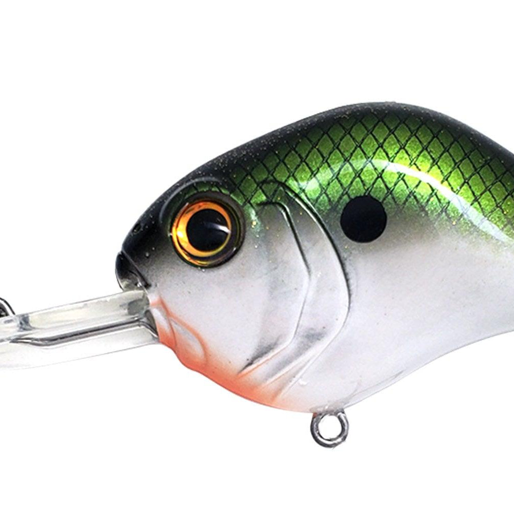 Bill Lewis MR 12 Tennessee Shad MR12-39