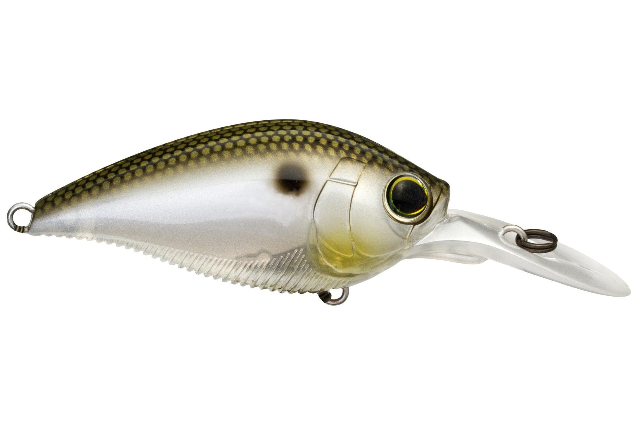 Yo-Zuri 3DB Series 1.5 Mid Range Crankbait Gizzard Shad