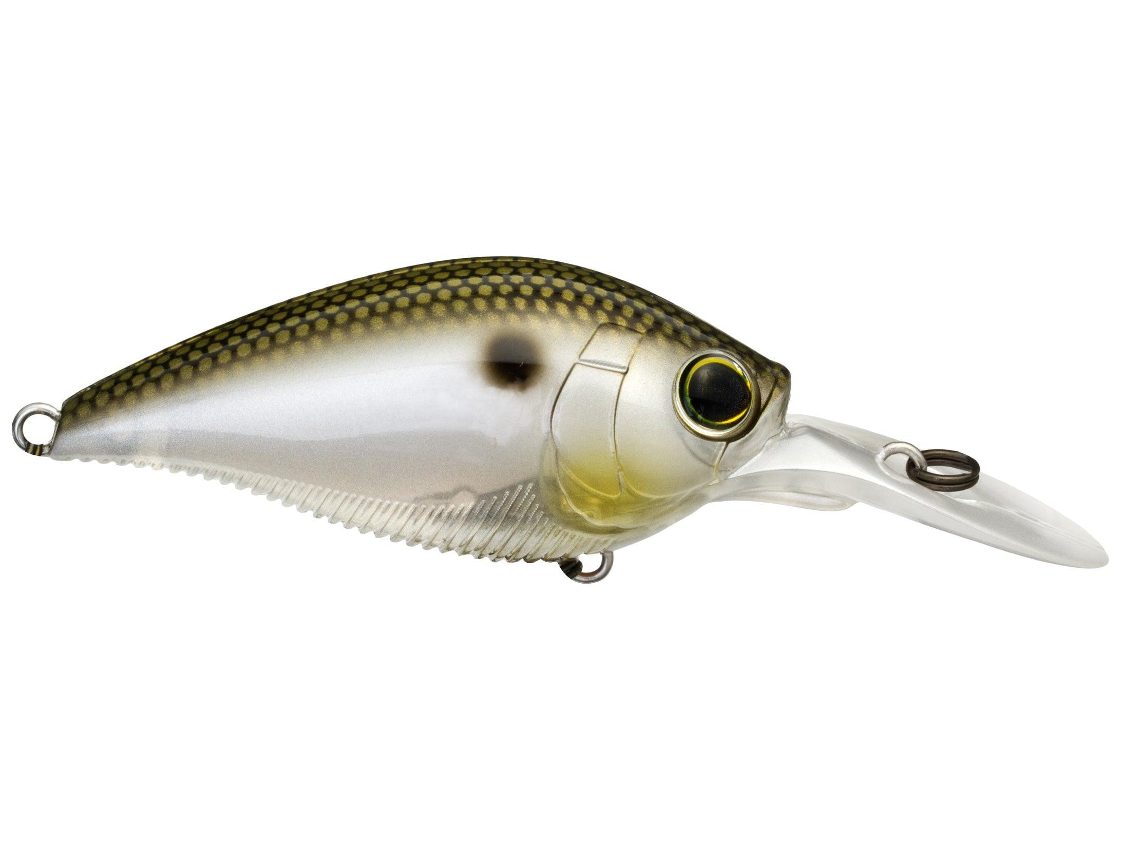Yo-Zuri 3DB Series 1.5 Mid Range Crankbait Gizzard Shad