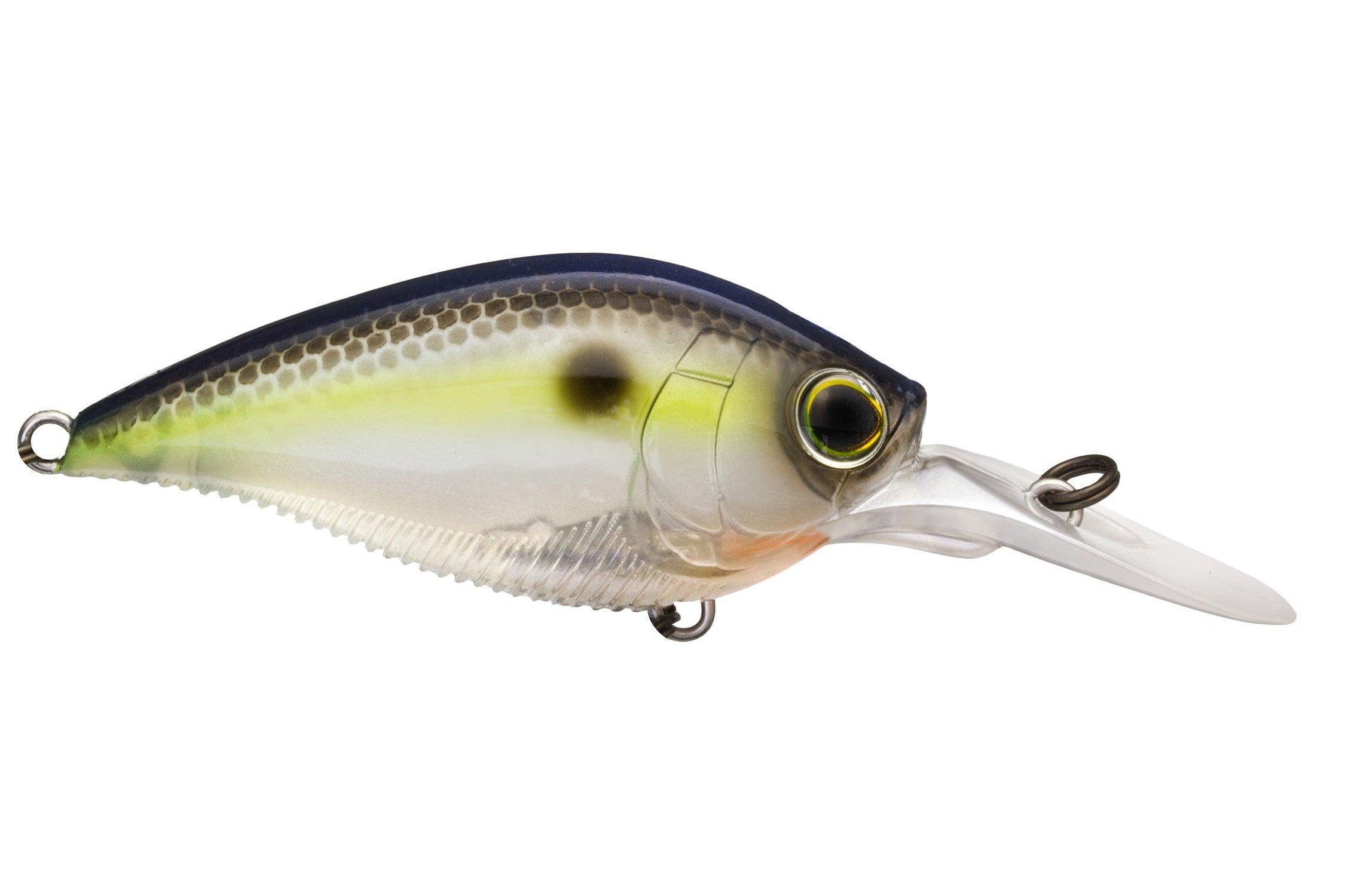 Yo-Zuri 3DB Series 1.5 Mid Range Crankbait Sexy Shad