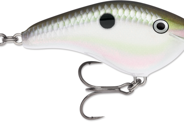 Rapala Ott’s Garage Slim 06 Crankbait Green Gizzard Shad