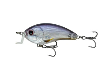 6th Sense Swank 77x Rayburn Ghost