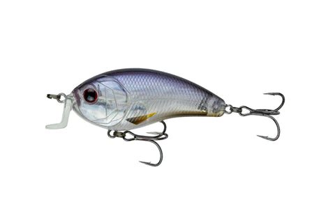 6th Sense Swank 66x Rayburn Ghost