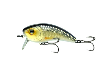 6th Sense Movement 80 Wake