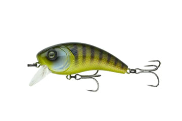 6th Sense Movement 80x Gilliken