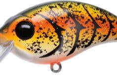Bill Lewis ATV 1.5 Squarebill Crankbait Rootbeer Craw