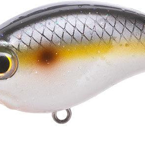 Bill Lewis ATV 2.5 Sqaurebill Crankbait Sneaky Shad