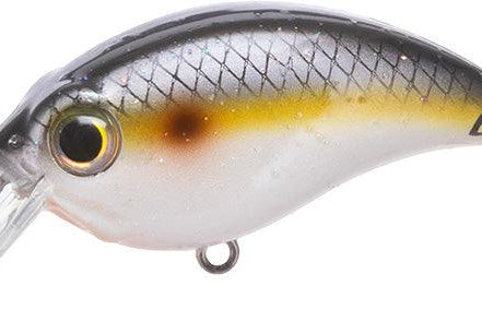 Bill Lewis ATV 2.5 Sqaurebill Crankbait Sneaky Shad