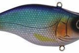 SPRO Essential Series Aruku Shad 60 Lipless Crankbait