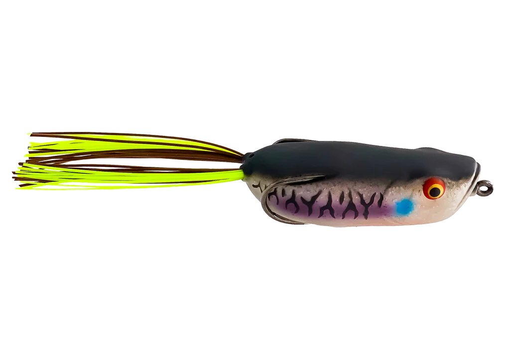 Toad Thumper Swamper Bad Gill