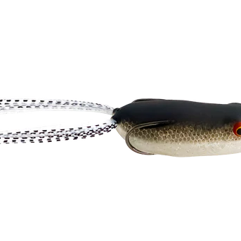 Toad Thumper Swamper Bad Shad