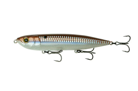 6th Sense CatWalk 4K Gizzard (DTC)