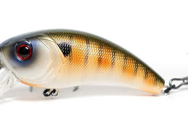 6th Sense Movement 80x