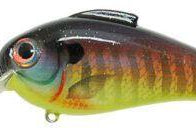 Bill Lewis Echo 1.75 Squarebill Crankbait
