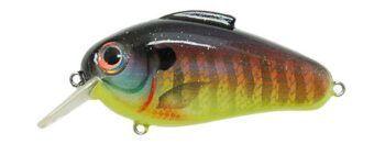 Bill Lewis Echo 1.75 Squarebill Crankbait Sunrise Perch (D)