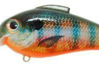 Bill Lewis Echo 1.75 Squarebill Crankbait