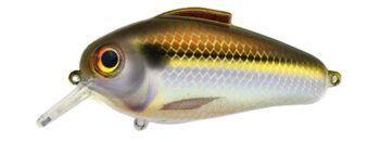 Bill Lewis Echo 1.75 Squarebill Crankbait Gizzard Shad (D)