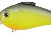 Bill Lewis Echo 1.75 Squarebill Crankbait