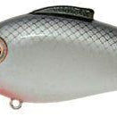 Bill Lewis Echo 1.75 Squarebill Crankbait Silverado