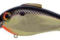 Bill Lewis Echo 1.75 Squarebill Crankbait