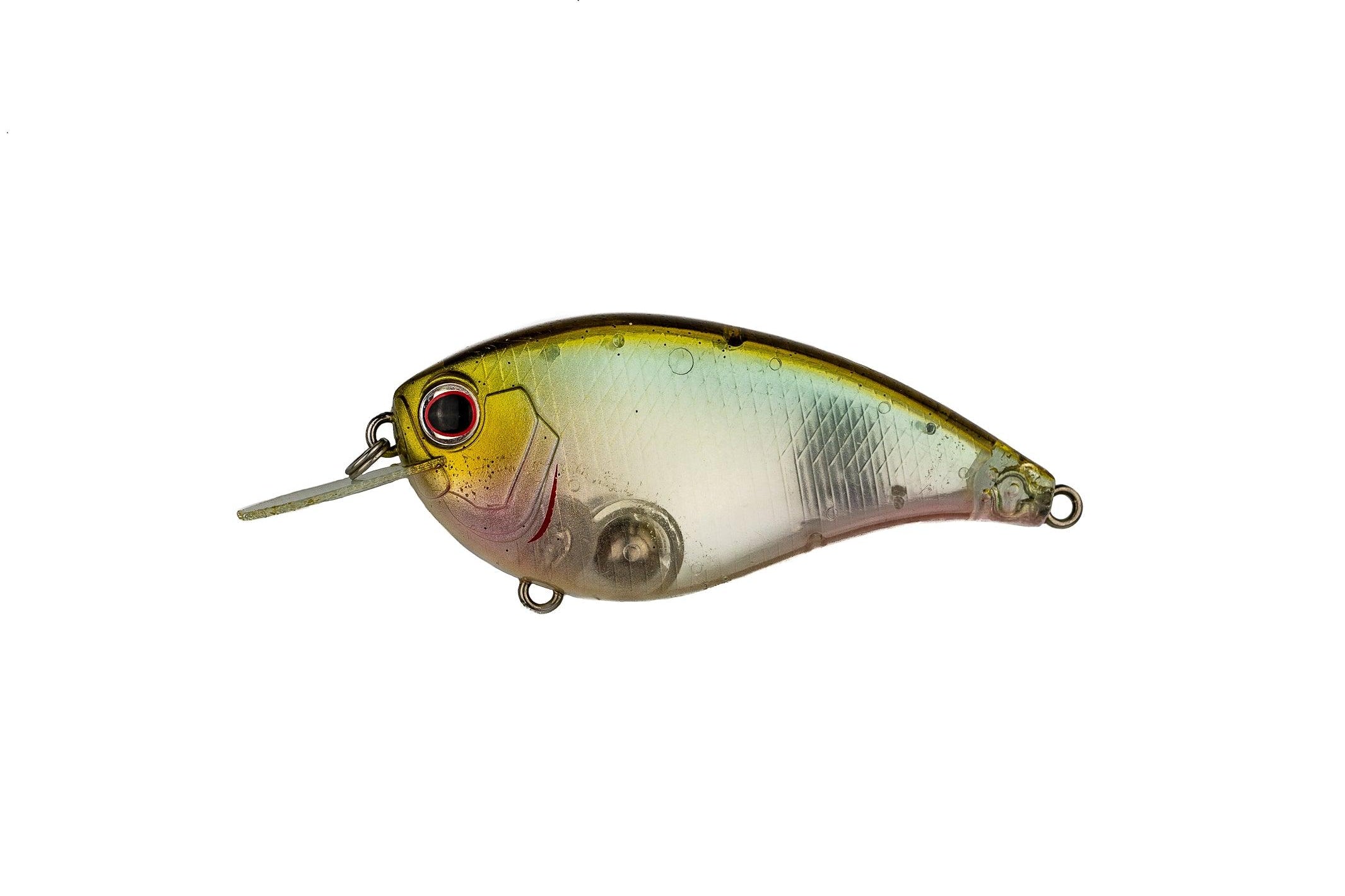 Evergreen Flat Force Flash Wakasagi