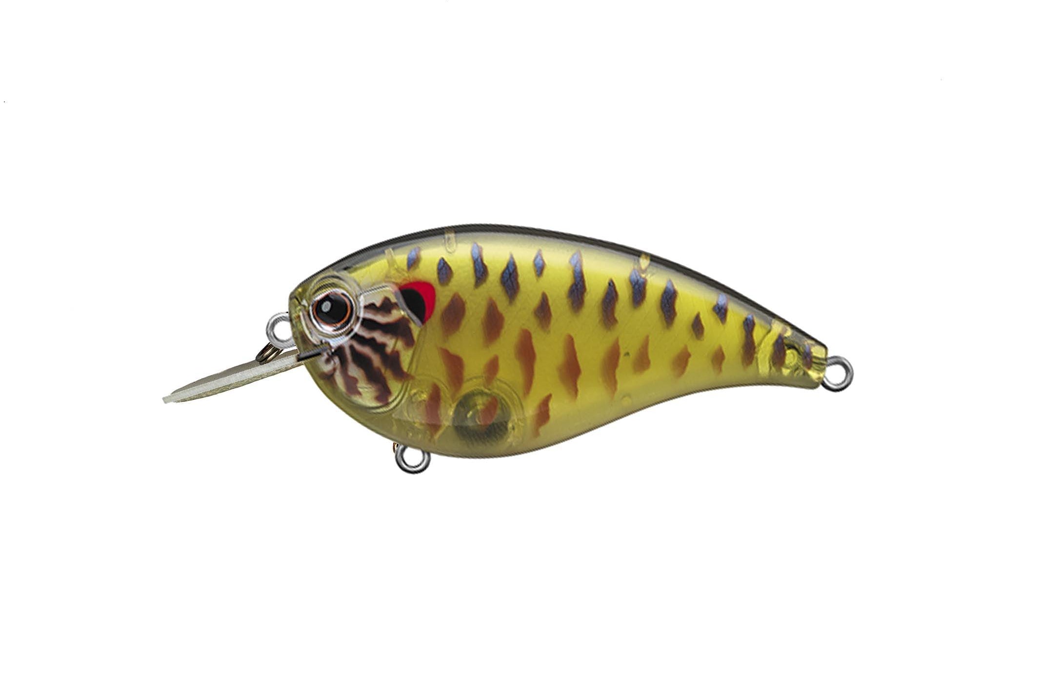 Evergreen Flat Force Skeleton Pumpkinseed