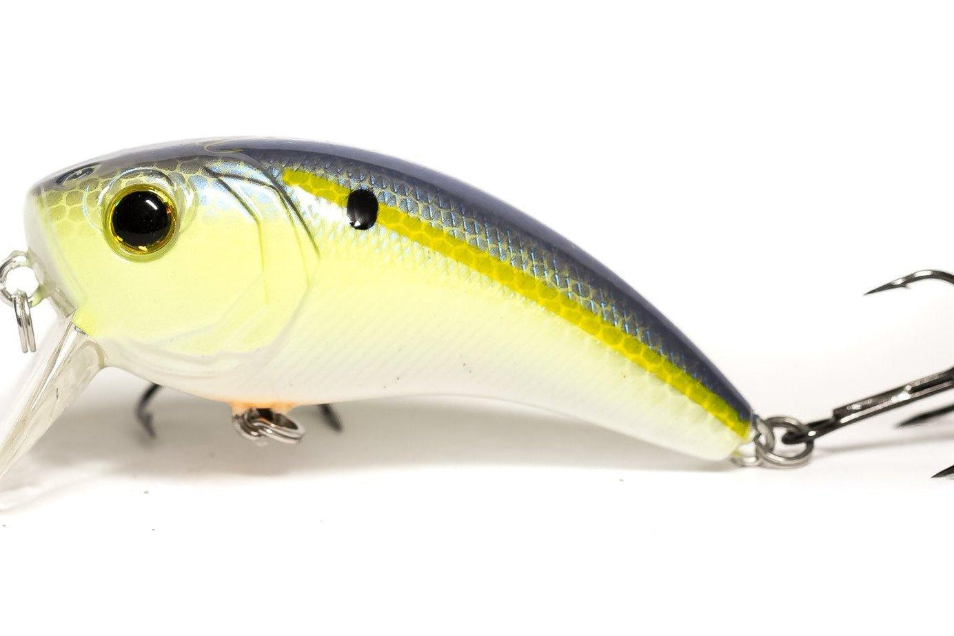 6th Sense Movement 80 Wake