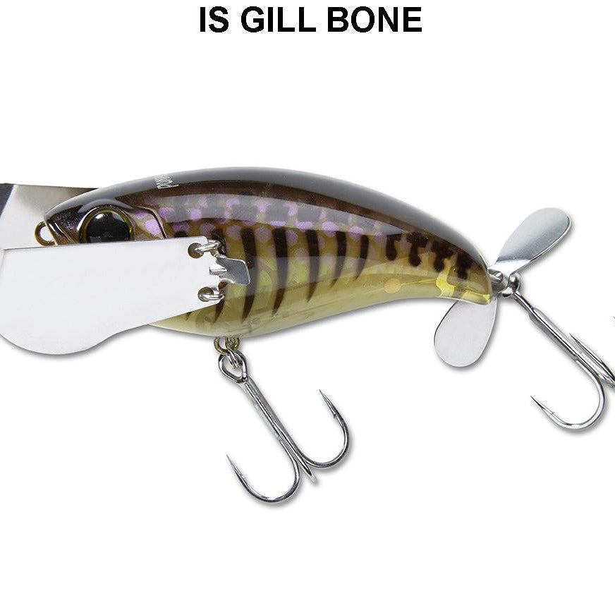 Jackall Pompadour Jr. Walking Bait Is Gill Bone