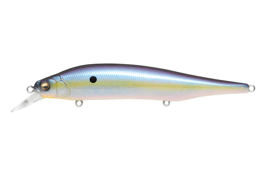 Megabass ITO Shiner Sexy French Pearl