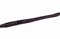 Zoom Mag Finesse Worm 10pk