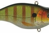 SPRO Essential Series Aruku Shad 60 Lipless Crankbait