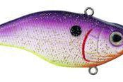 SPRO Essential Series Aruku Shad 60 Lipless Crankbait Purple Rain
