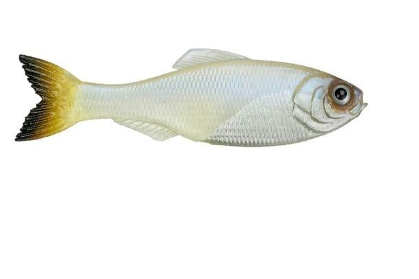 6th Sense Panorama Pro Blue pk)