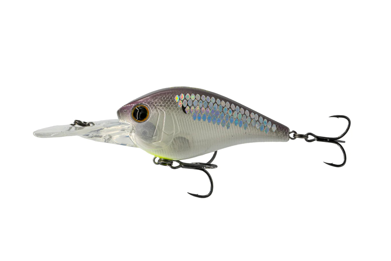 6th Sense Crush 250MD Smash Fest*