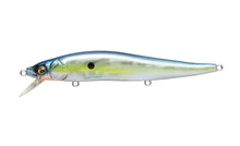 Megabass Vision 110 + 1 GP Sexy Shad