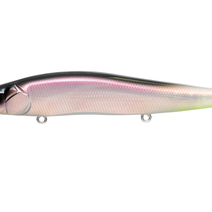 Megabass Vision 110 Kohoku Reaction