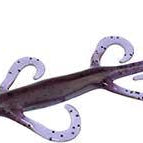 Zoom Lizards 6" Purple Pumpkin 432