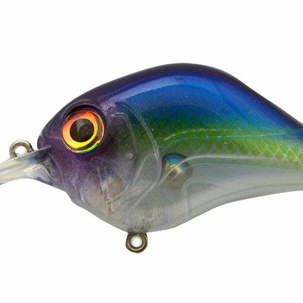 Bill Lewis MR-6 Pro Blue - MR6-613