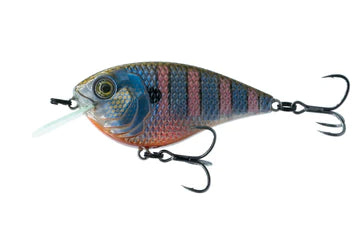 6th Sense Flat Finesse F4 Bluegill Spawn