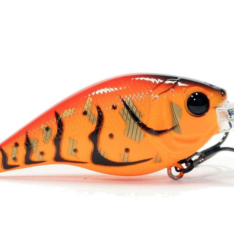 6th Sense Cloud 9 Series C6 Boiled Crawfish (D)