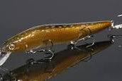 Megabass Vision 110 **Special Colors** Hakusei Muddy Gori Copper*