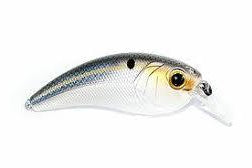 6th Sense Movement L7 Threadfin Shad*