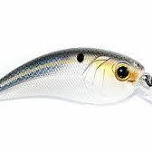 6th Sense Movement L7 Threadfin Shad*