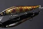 Megabass Vision 110 **Special Colors** Genroku*